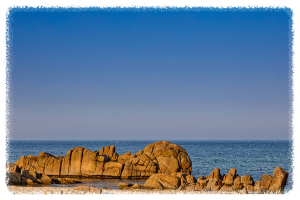 등대와 소나무 숲이 어우러진 하조대해변