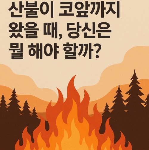 산불관련 이미지