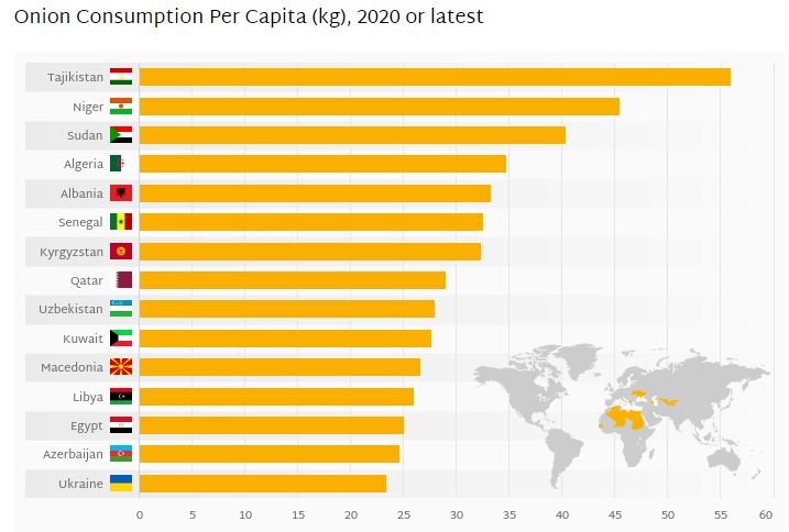 양파 소비 국가