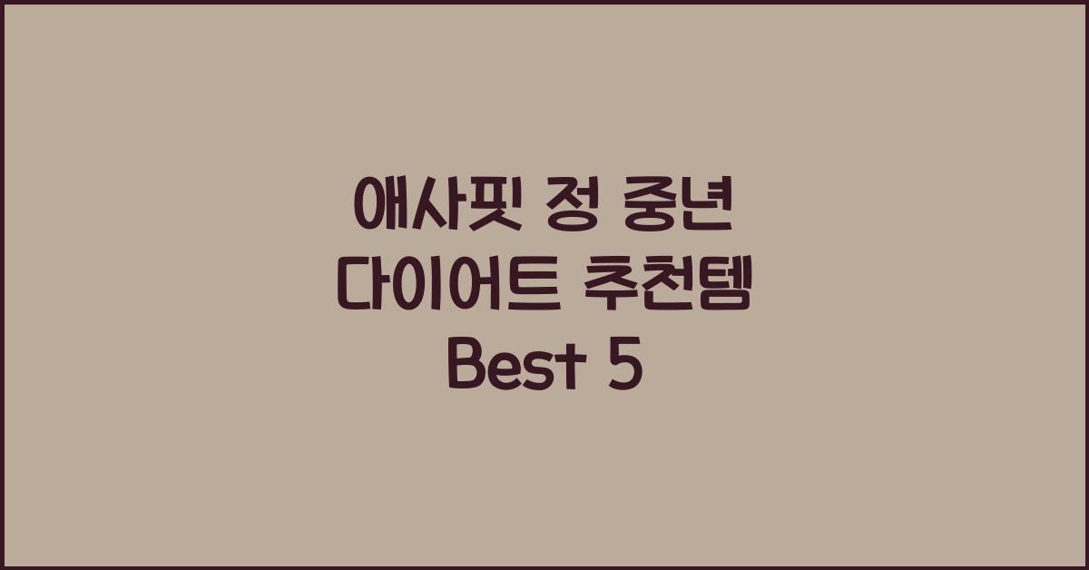 애사핏 정 중년 다이어트 추천템