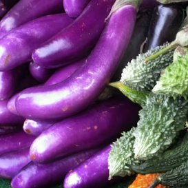 가지 효능 놀라운 9가지 부작용 고르는법 칼로리