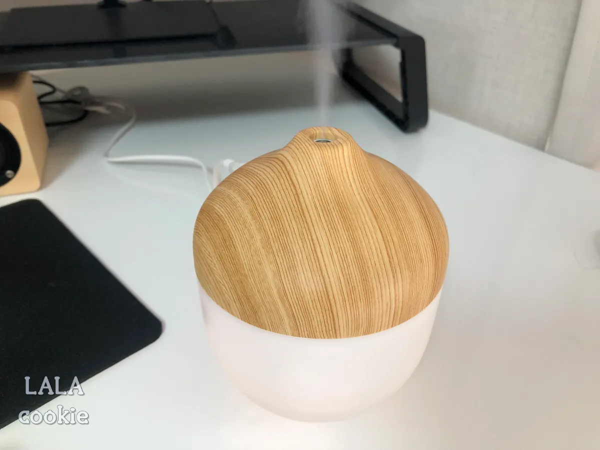 안구건조-해결-후기-가습기-흰색