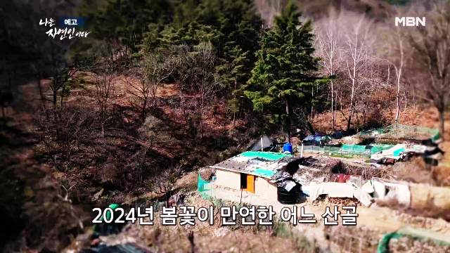나는-자연인이다-윤택