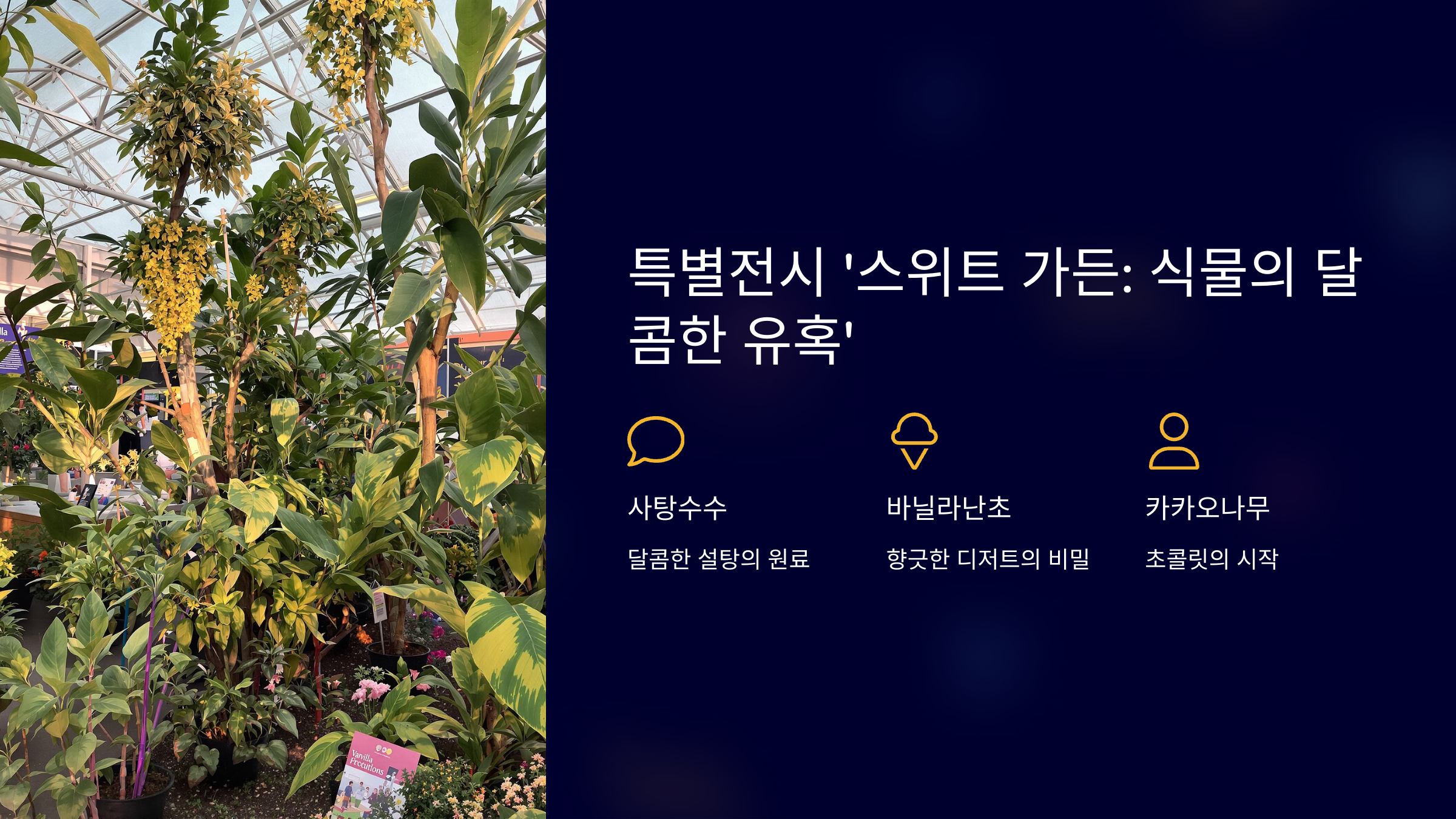 국립세종수목원 야간개장 우리함께야夜 총정리