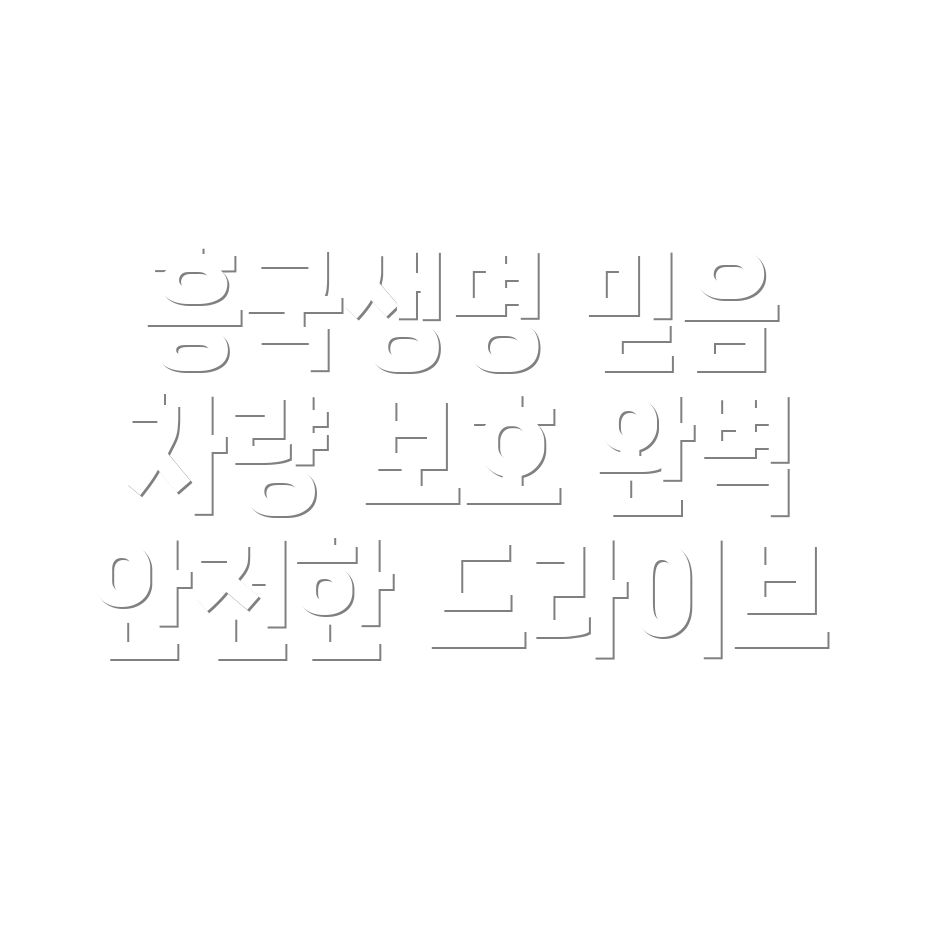 흥국생명 자동차 보험