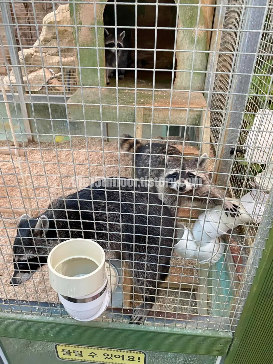 경남 의령 &amp;#39;의령 곤충생태학습관&amp;#39; (1층&amp;#44; &amp;#39;생태 유리온실&amp;#39;)
