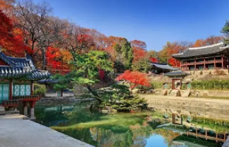 창덕궁후원 단풍