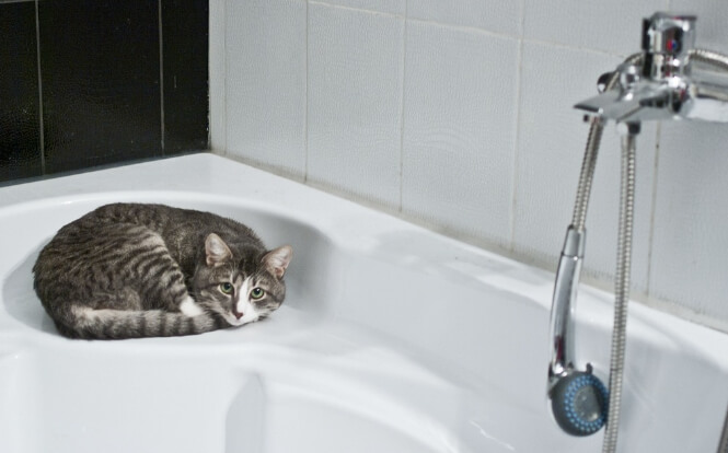 샤워기 헤드의 종류와 선택 방법은?