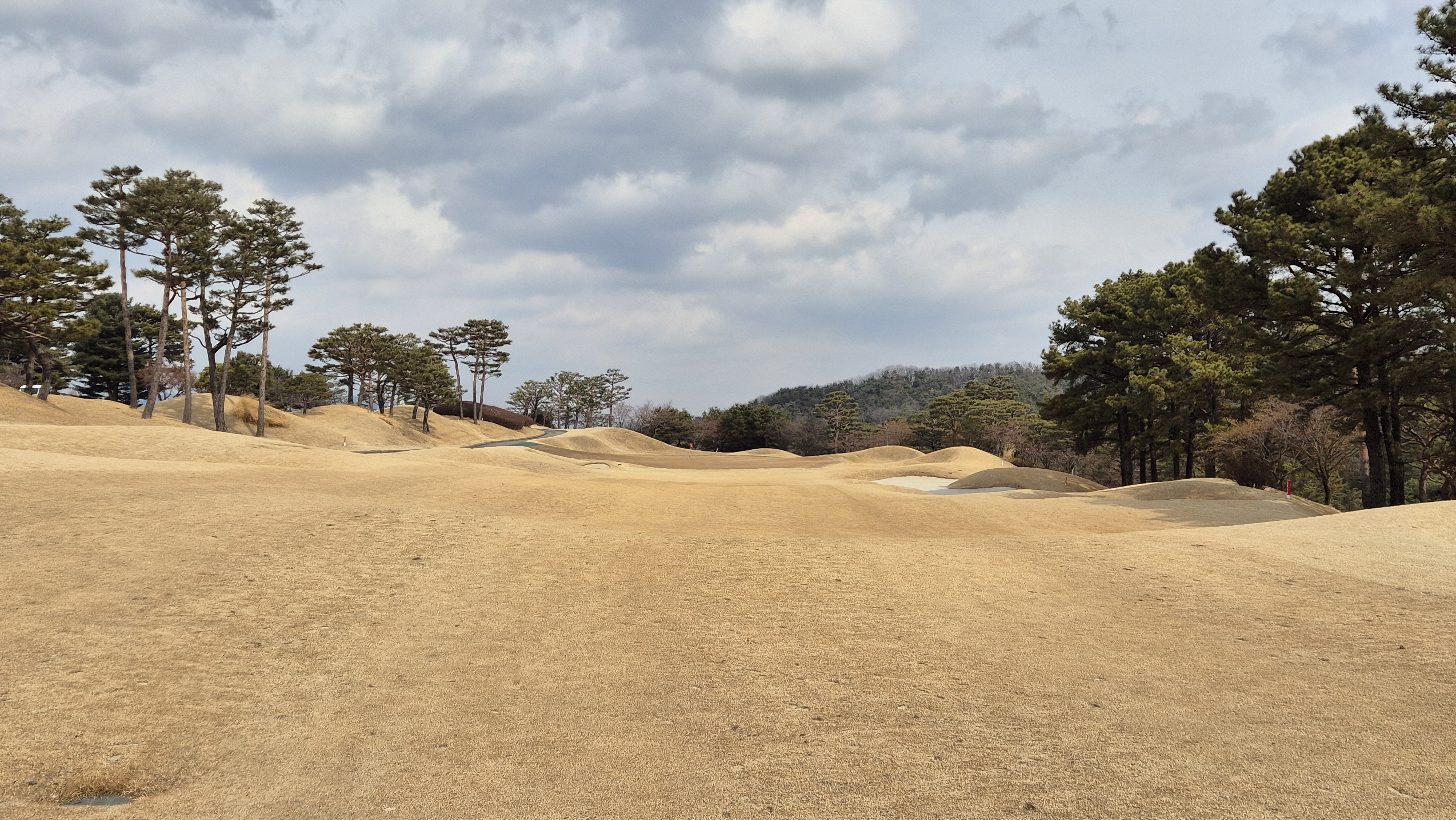 아도니스cc 동-서 코스 사진 및 공략 정보