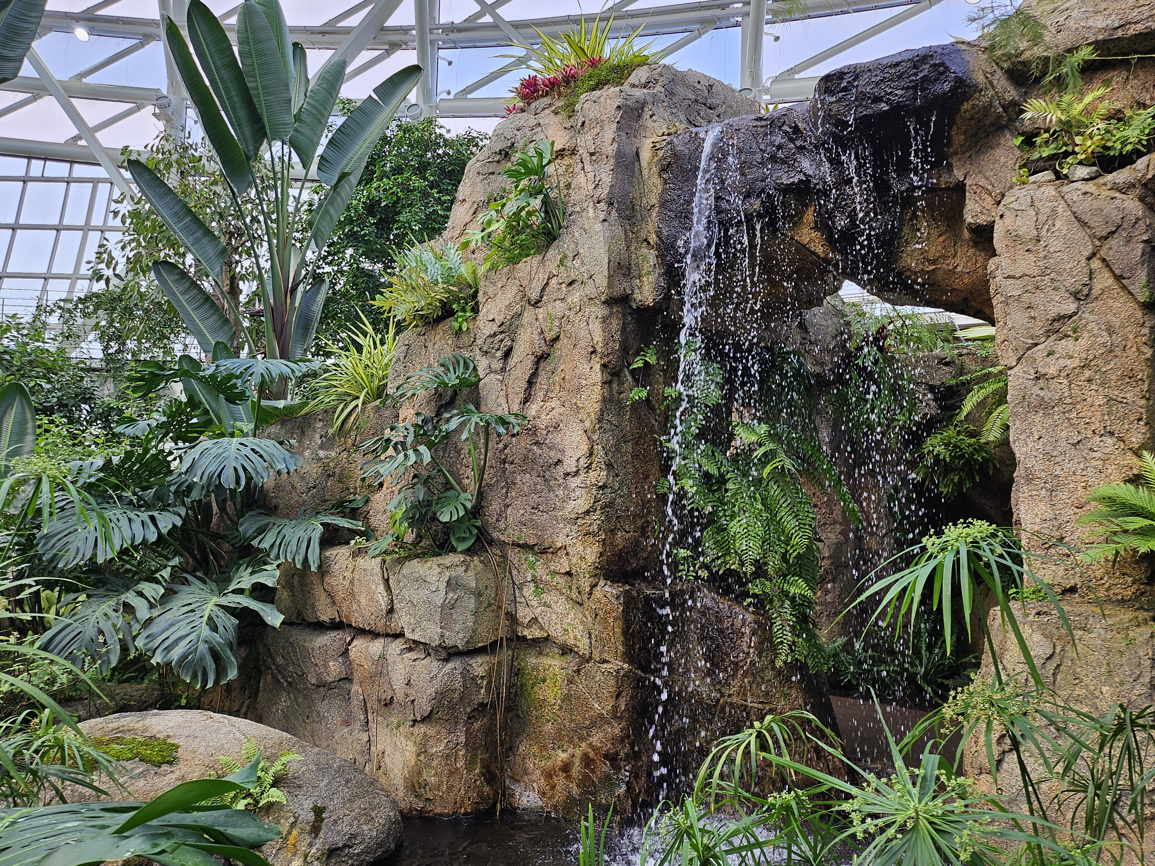 겨울 실내 아이와 가볼만한곳 부천호수공원 식물원 수피아