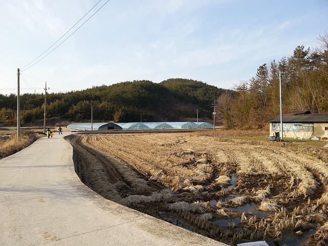 부동산학개론 부동산감정평가론 공시지가제도의 개념과 중요성