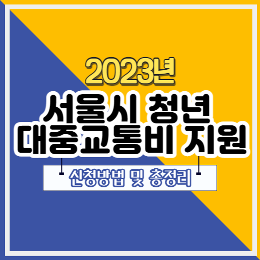 서울시 청년 대중교통비 지원