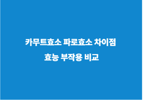 카무트효소 파로효소 차이점 효능 부작용 비교