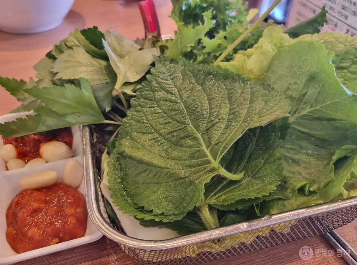 쌈채소