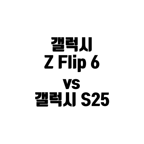 삼성 갤럭시 S25 VS 갤럭시 Z플립6 비교분석