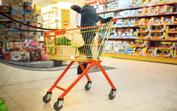 농할상품권 구매방법 사용처 사용기간 구매한도팁