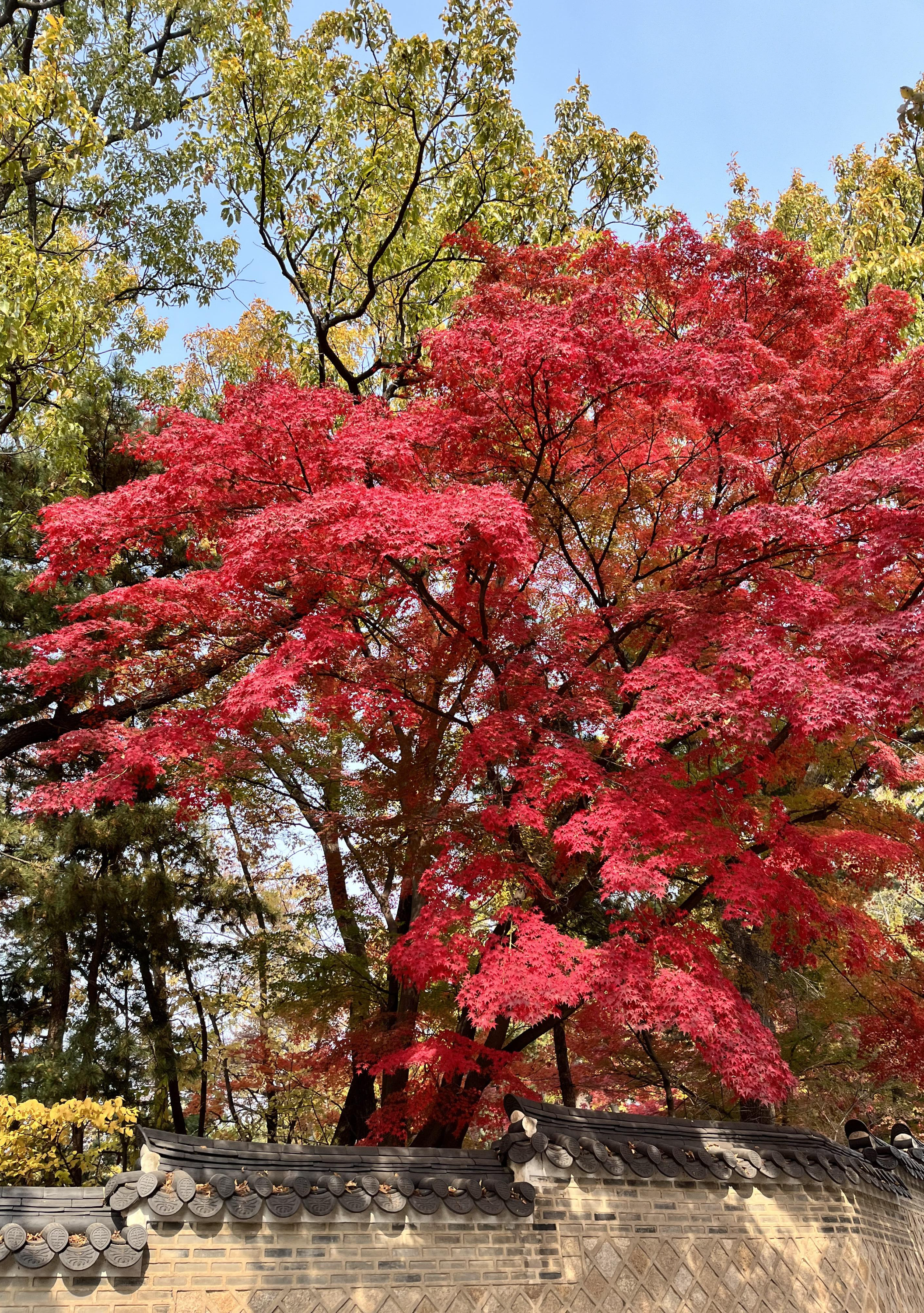 가을에 꼭 가봐야 할 곳