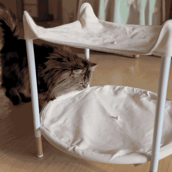 두잇 트램펄린 해먹 솔직 후기!