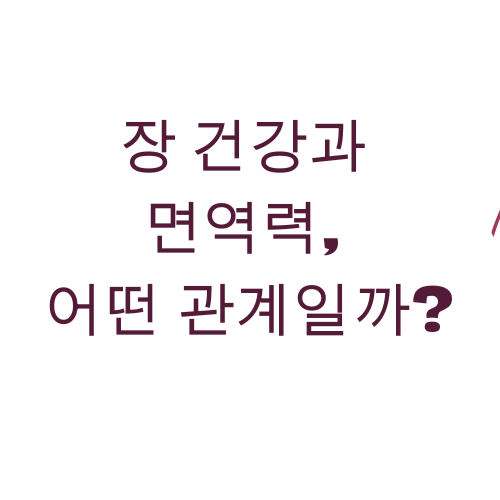 장 건강과 면연력 어떤 관계일까