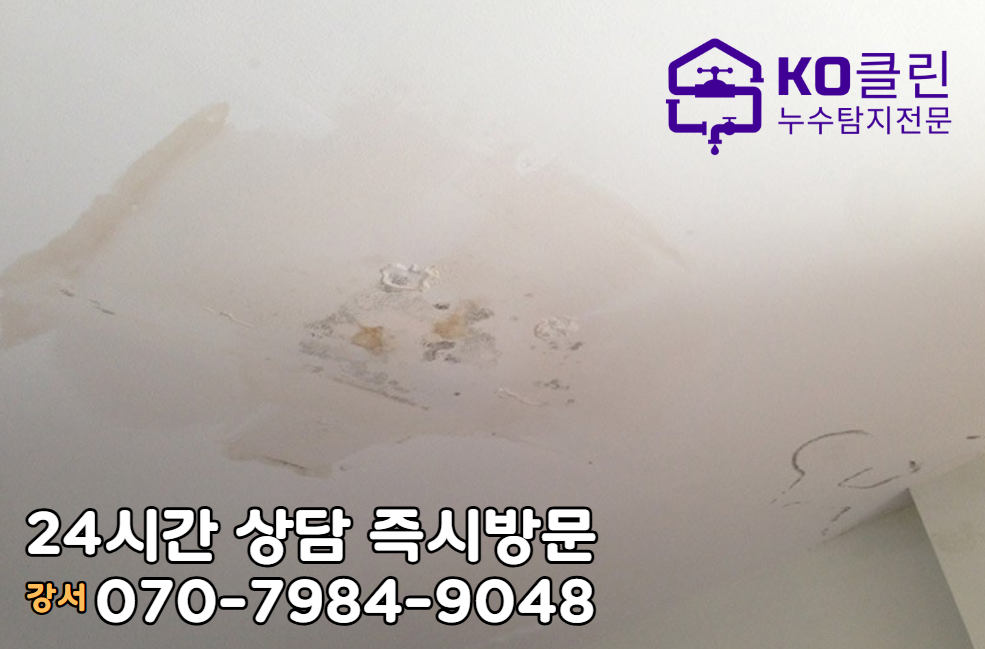 강서구 등촌동 아파트2