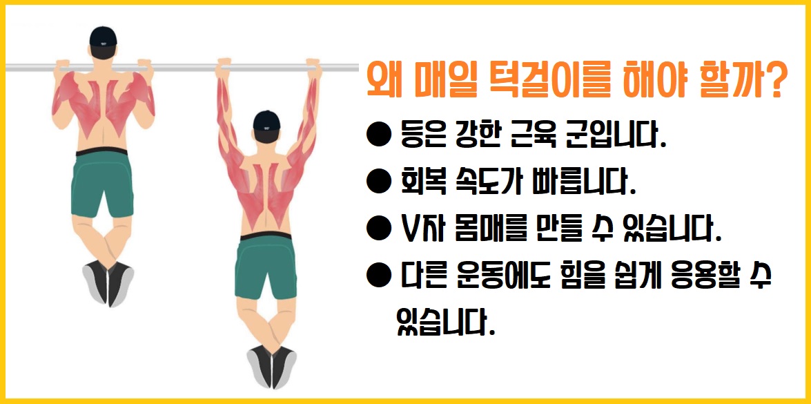 매일매일 턱걸이