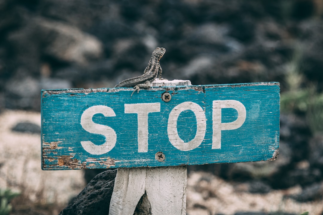 Stop-loss