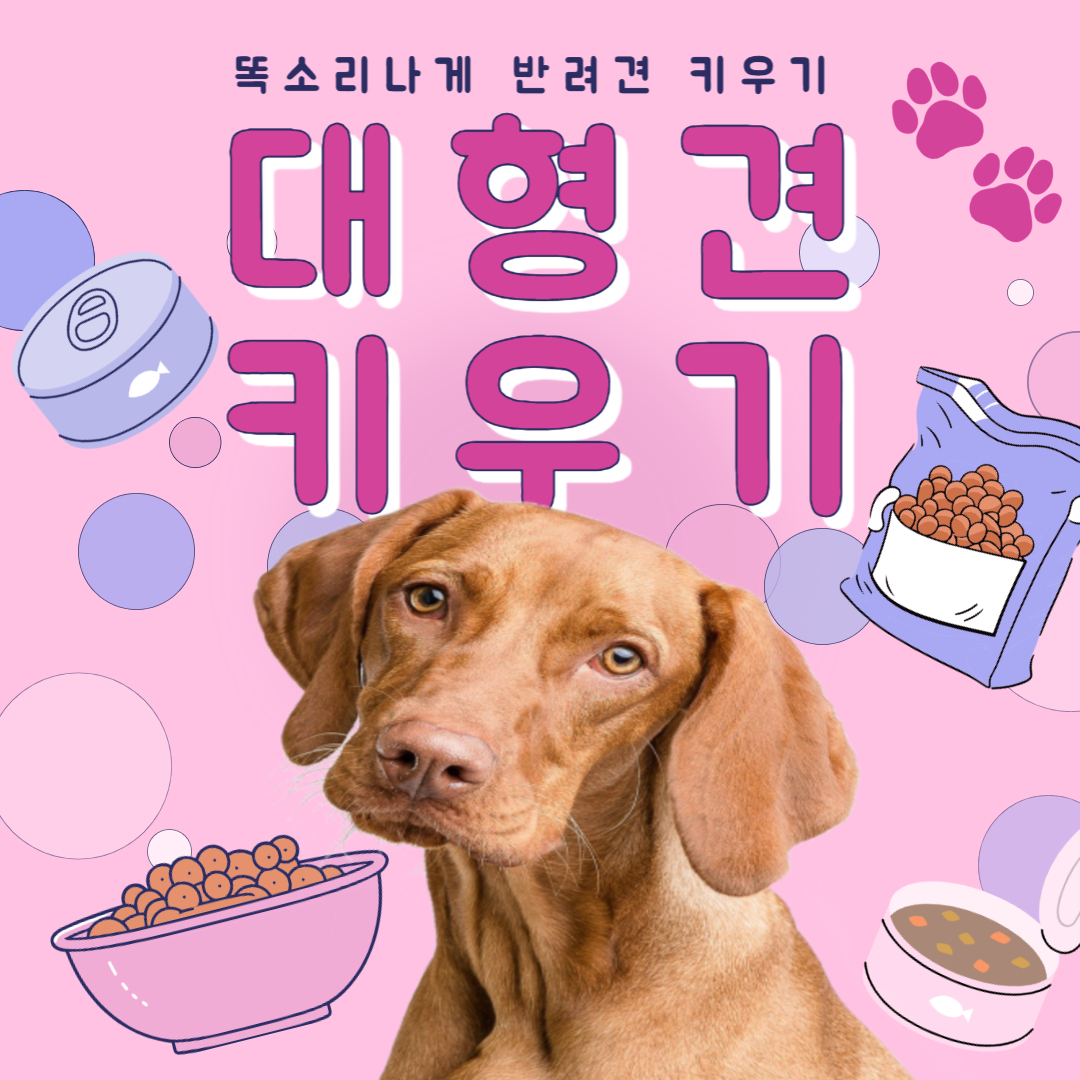 대형견 주의사항 비용 용품