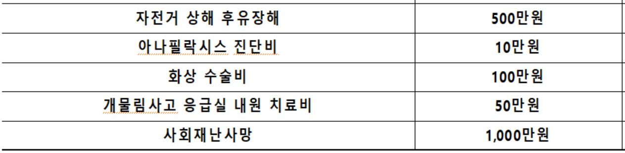 평창군 군민안전보험