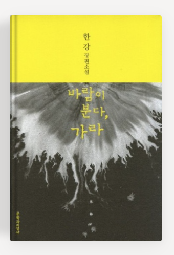 한강작가의 '바람이 분다 가라' 책표지.