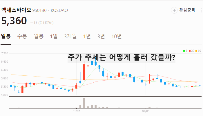 박쥐 코로나 관련주 대장주 테마주 TOP7