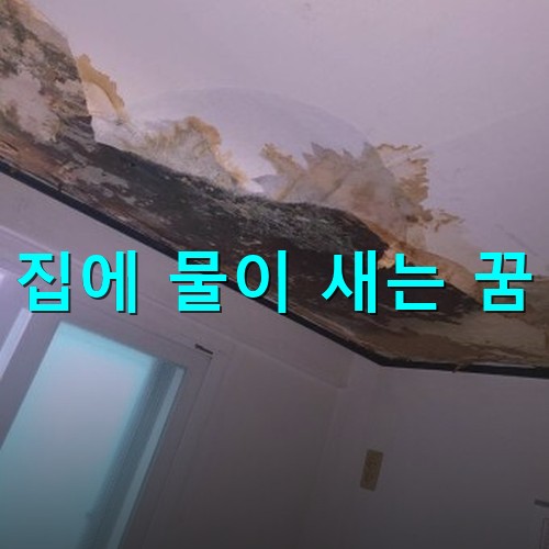물이-새서-천정에-검은곰팡이가-끼고-점점-번져가는-흉물스런-모습