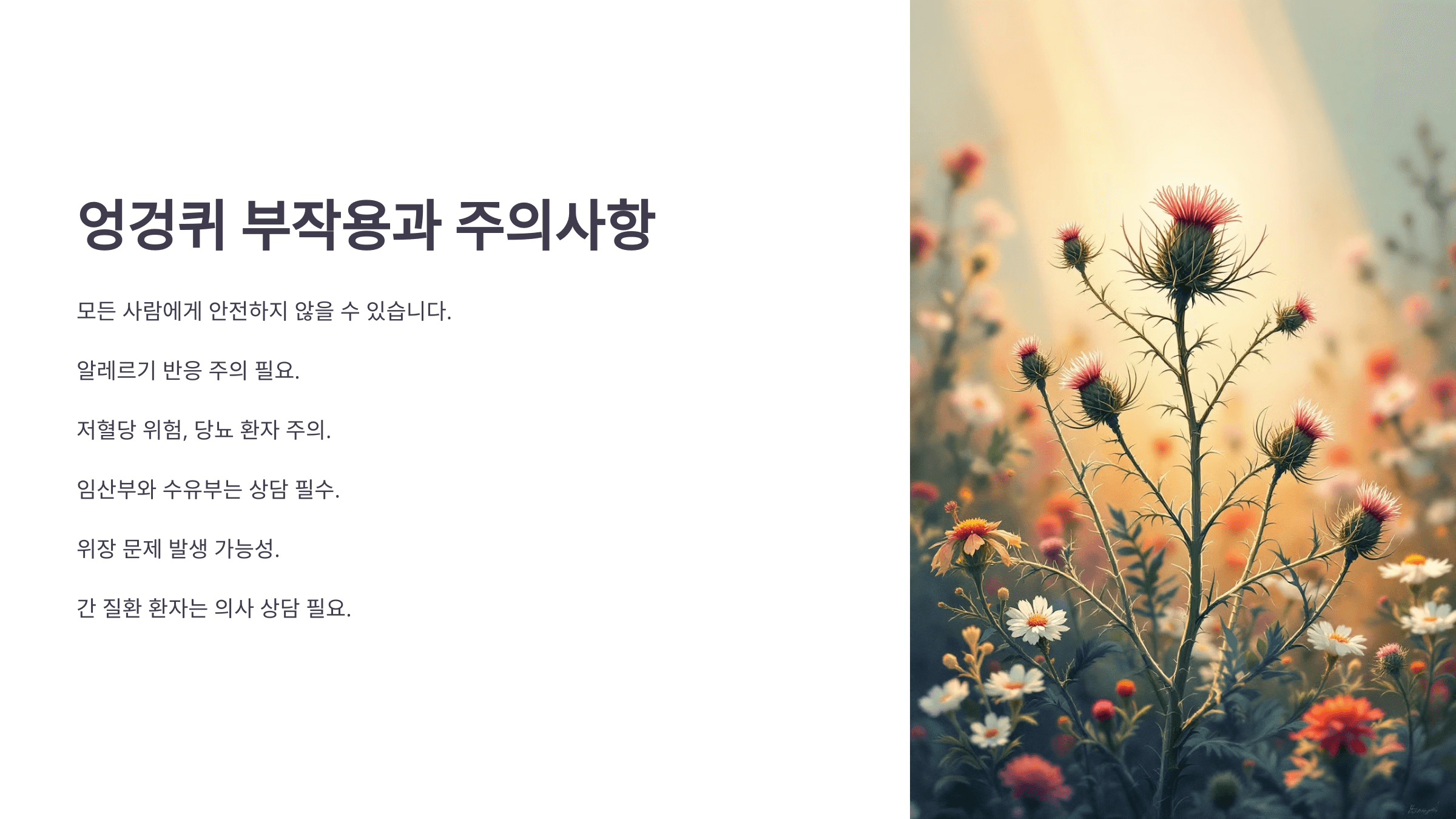 엉겅퀴와 관련된 사진입니다.