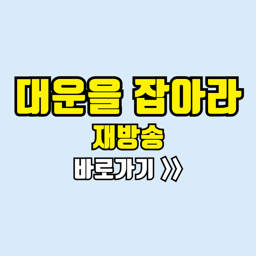 대운을 잡아라 재방송