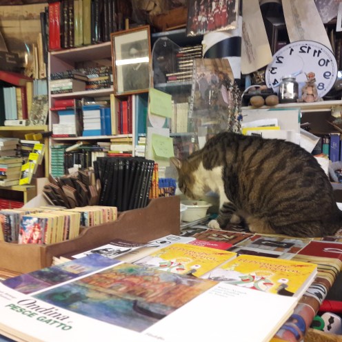 베니스에 사랑에 빠지게 만든 8가지