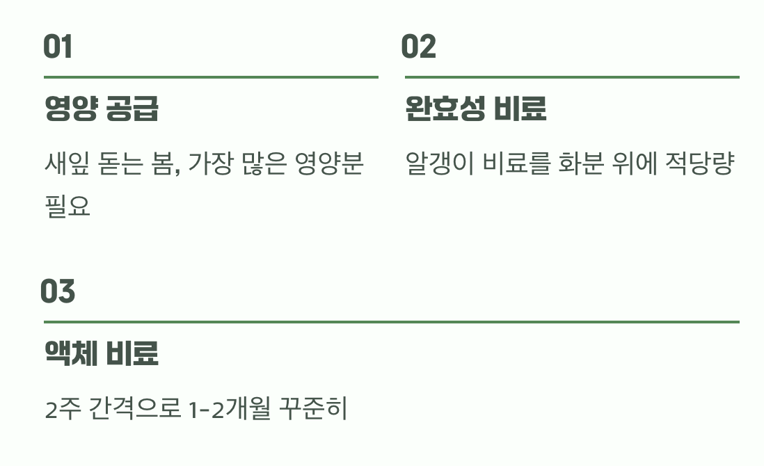 꽃이 진 뒤가 진짜 시작