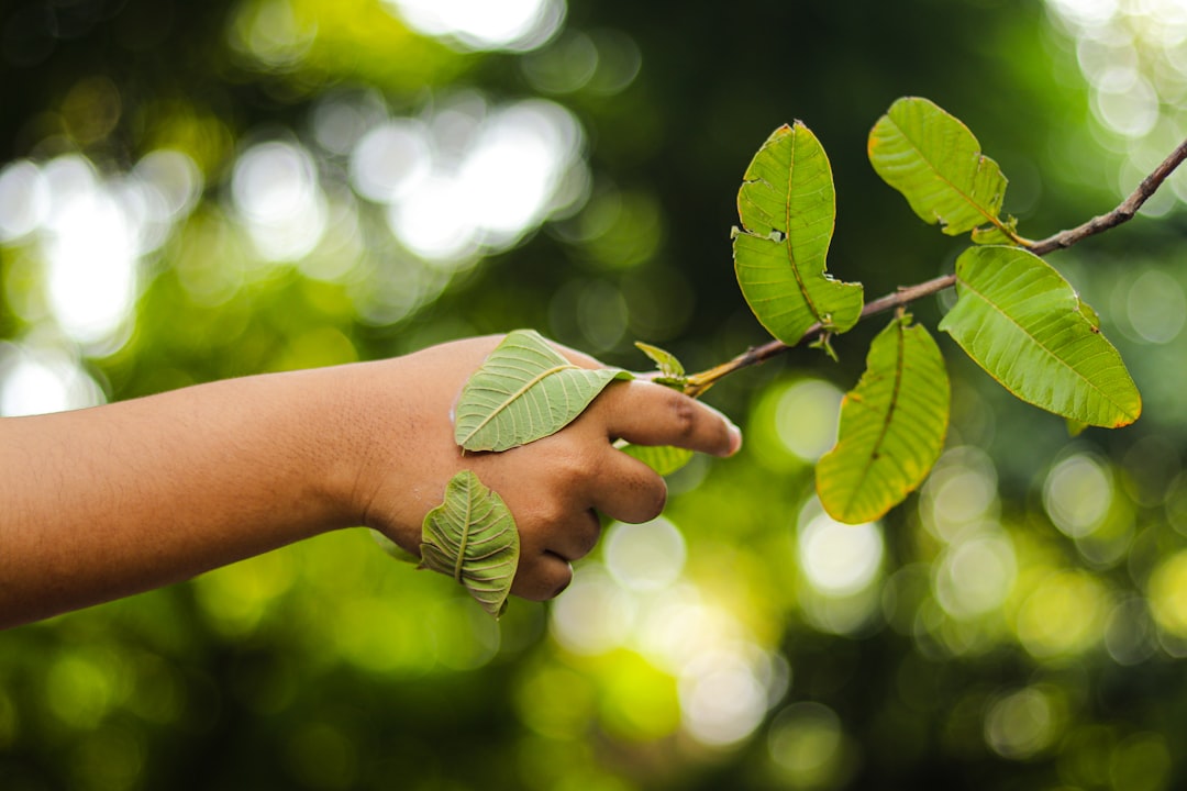 Environmental