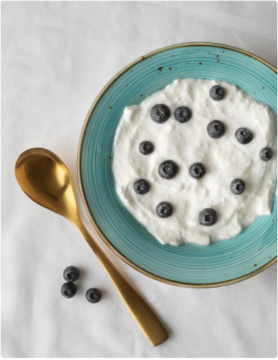 요거트, 플레인 요거트