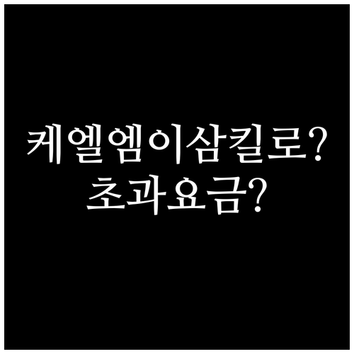 KLM 위탁수하물 23kg 초과하면 ..