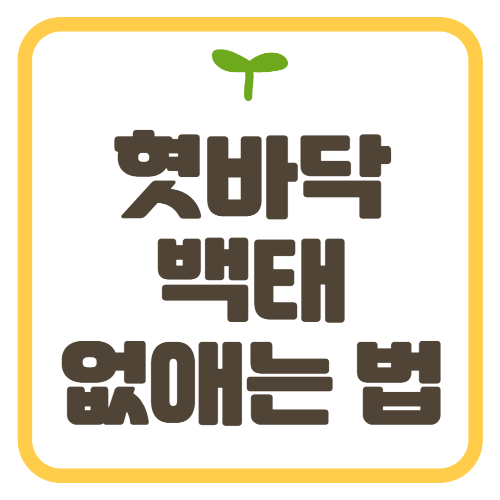 백태 없애는 법