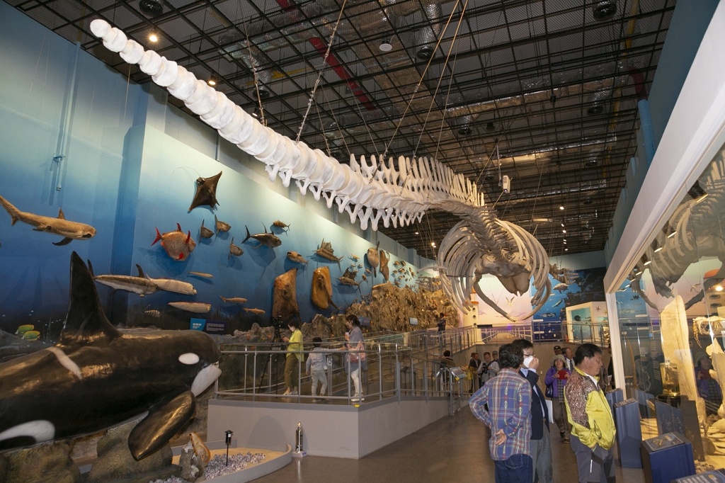 해남 가볼만한곳 - 땅끝해양자연사박물관