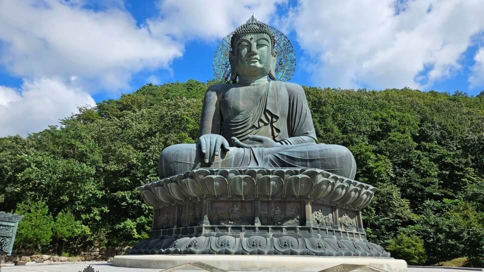 속초 신흥사 : 설악산의 숨결과 통일의 염원이 머무는 곳 설악산의 깊은 산문을 지키는 천년 고찰