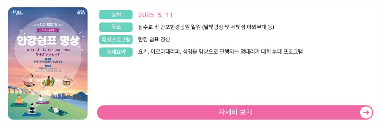 2025 차 없는 잠수교 뚜벅뚜벅 축제 한강쉼표 명상