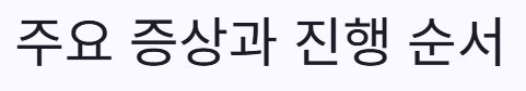 주요증상