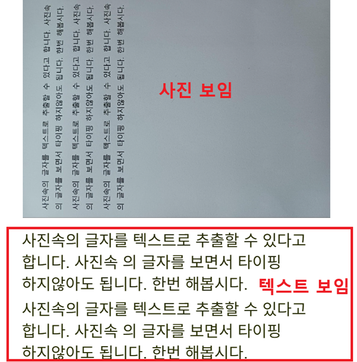 사진과 추출된 텍스트 보임
