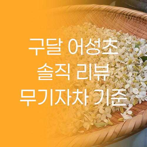 구달 어성초 선크림 솔직 리뷰 무기자