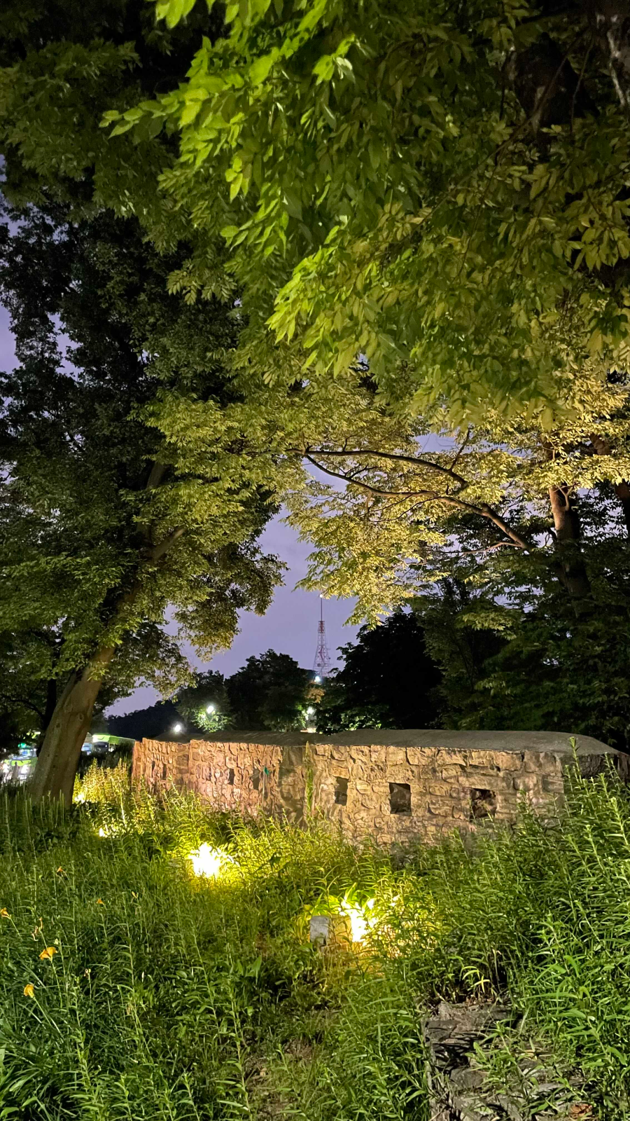 남선서울타워 밤소풍