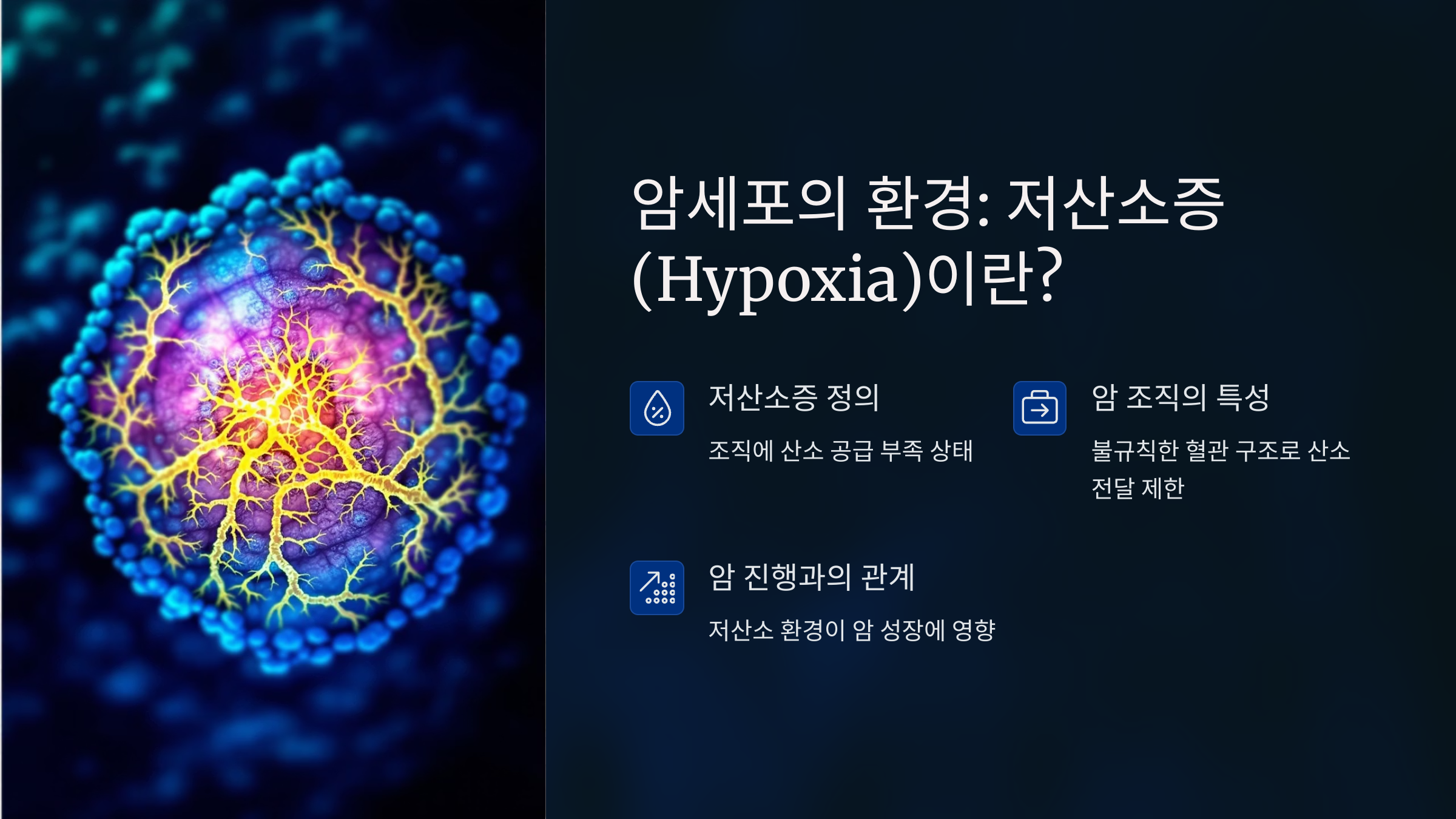 암세포의 환경: 저산소증(Hypoxia)이란?