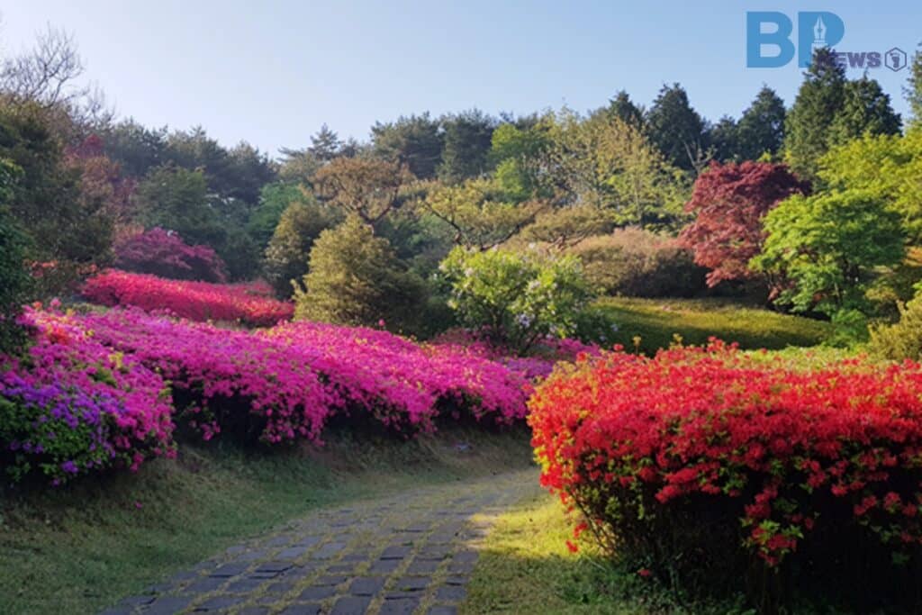 충남-안면도수목원