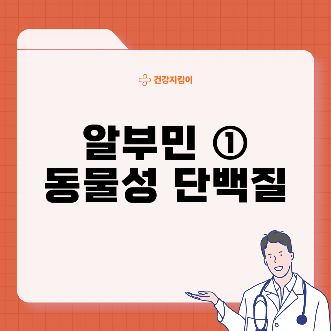 알부민 많은 음식