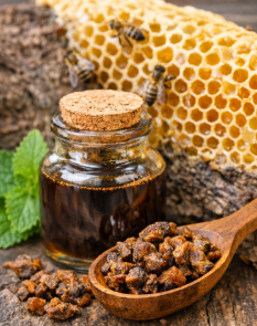 프로폴리스 효능, 챙겨 먹는 사람이 늘어나는 이유